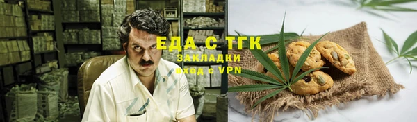 гашик Алзамай