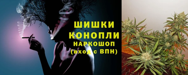 СК Кукмор