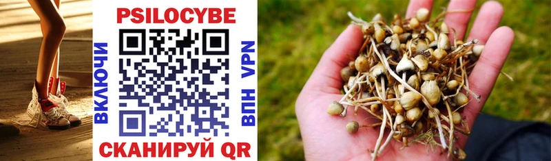Галлюциногенные грибы GOLDEN TEACHER  где найти наркотики  Боровичи 
