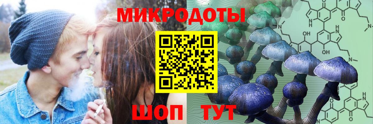 Боровичи  Галлюциногенные грибы MAGIC MUSHROOMS  Псилоцибиновые грибы мицелий  Вход с VPN 